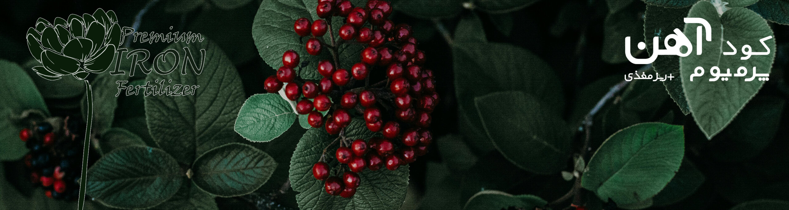 premium-iron-fertilizer.ir-کود-آهن-پرمیوم-بنر-14