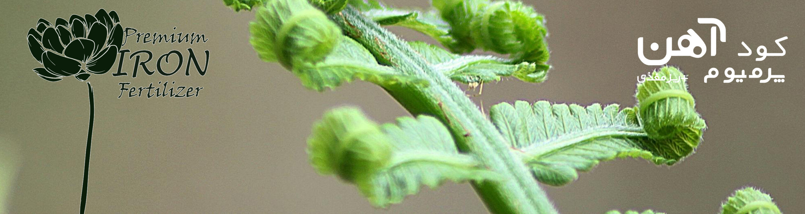premium-iron-fertilizer.ir-کود-آهن-پرمیوم-بنر-7
