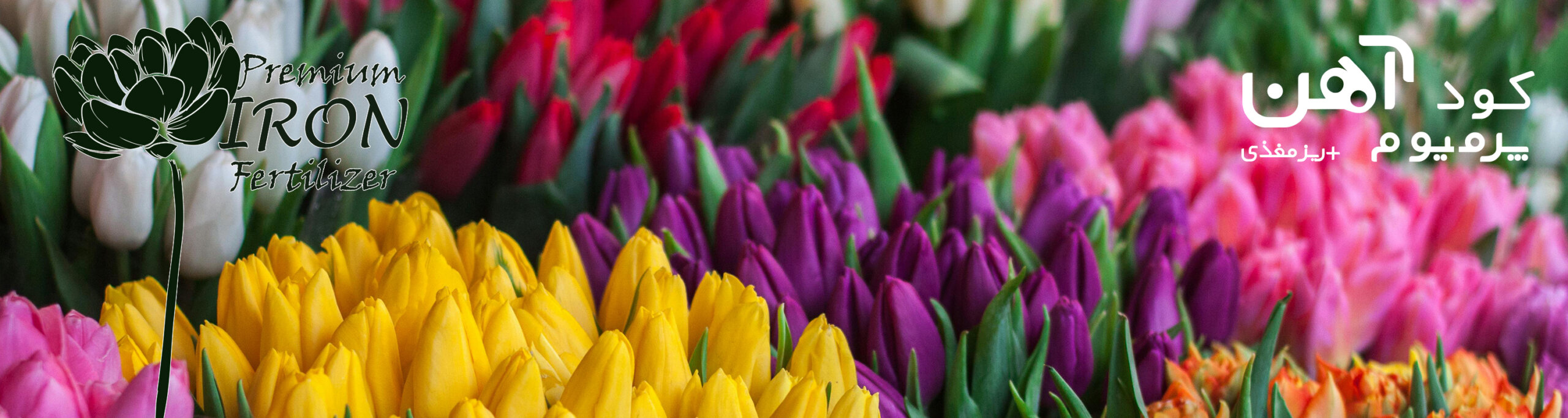 premium-iron-fertilizer.ir-کود-آهن-پرمیوم-بنر-8