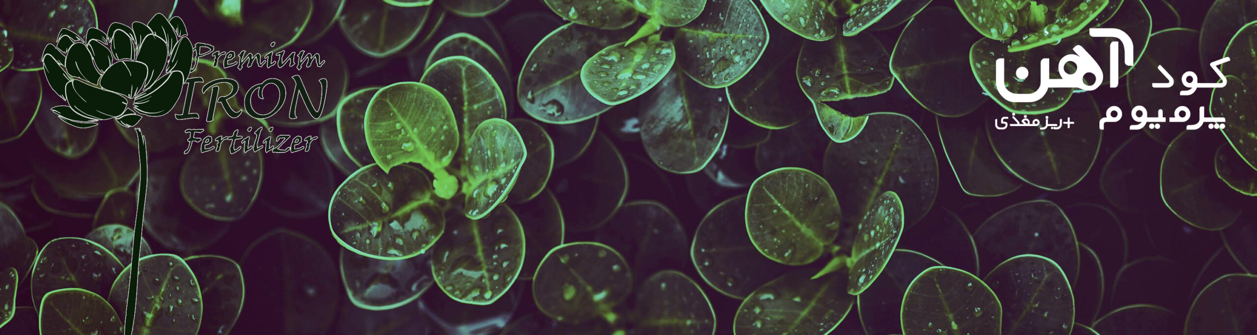premium-iron-fertilizer.ir-کود-آهن-پرمیوم-بنر-9