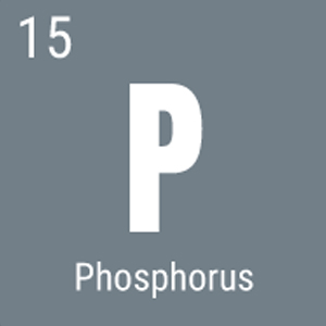 premium-iron-fertilizer.ir-کود-آهن-پرمیوم-عناصر-فسفر