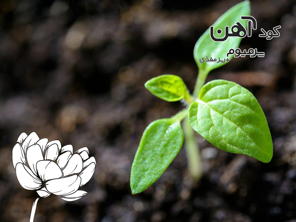 premium-iron-fertilizer.ir-کود-آهن-پرمیوم-مقاله-اثر-اب-سخت-بر-جذب-کود-3