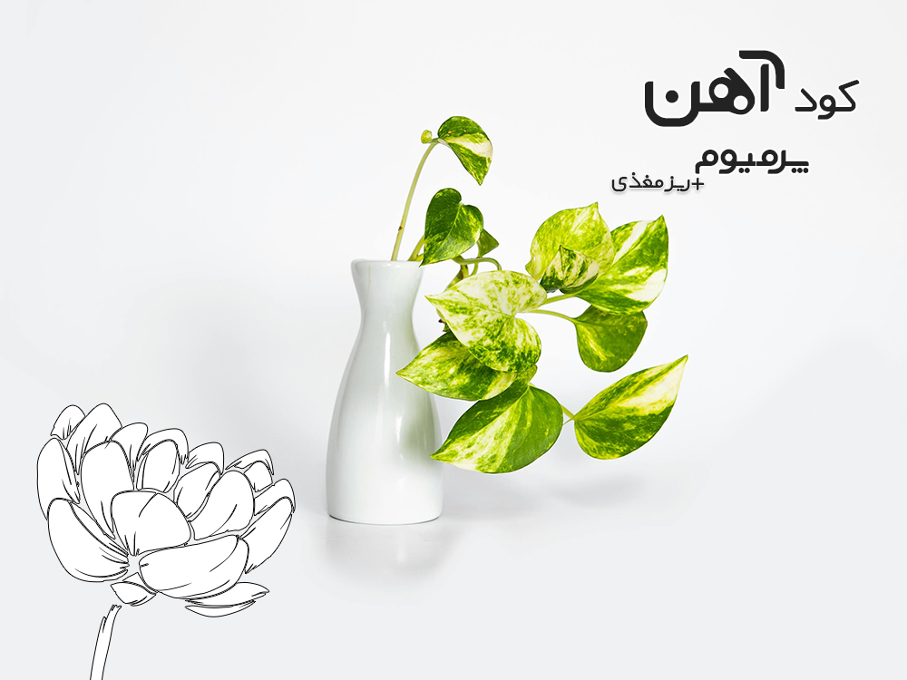 premium-iron-fertilizer.ir-کود-آهن-پرمیوم-مقاله-تاریخچه-پتوس-1