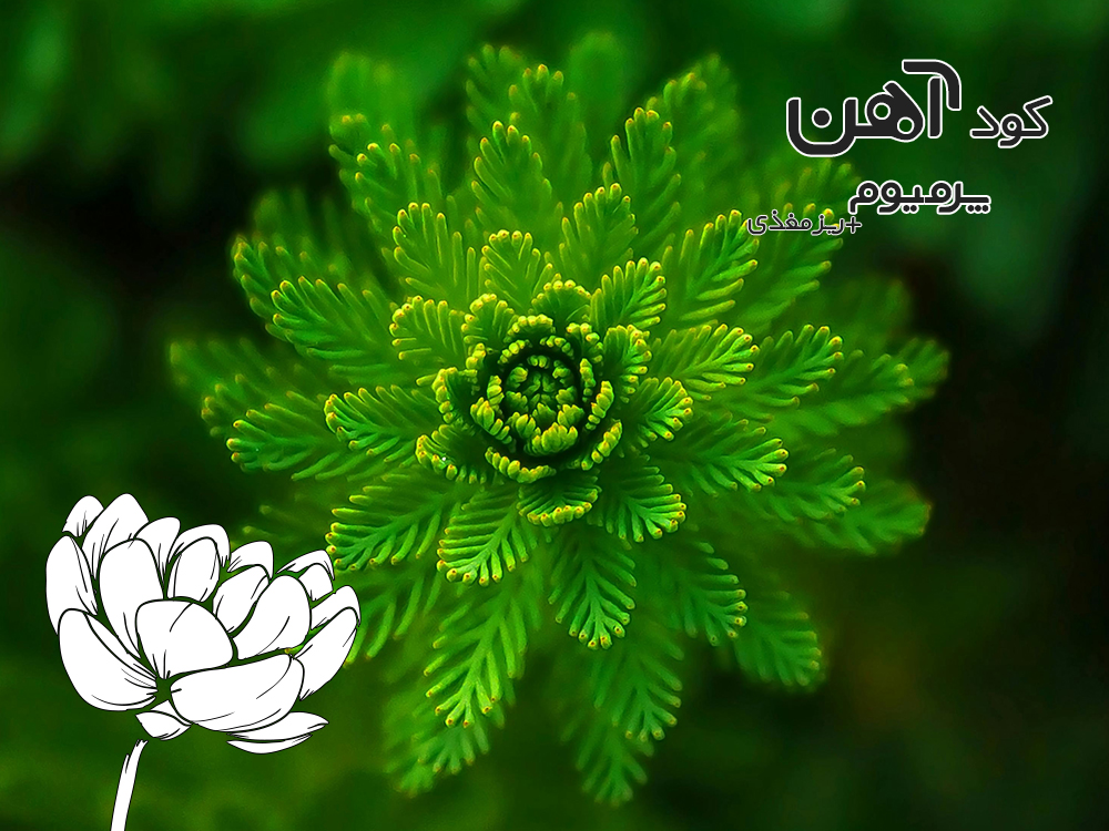 premium-iron-fertilizer.ir-کود-آهن-پرمیوم-مقاله-ترکیبی-2
