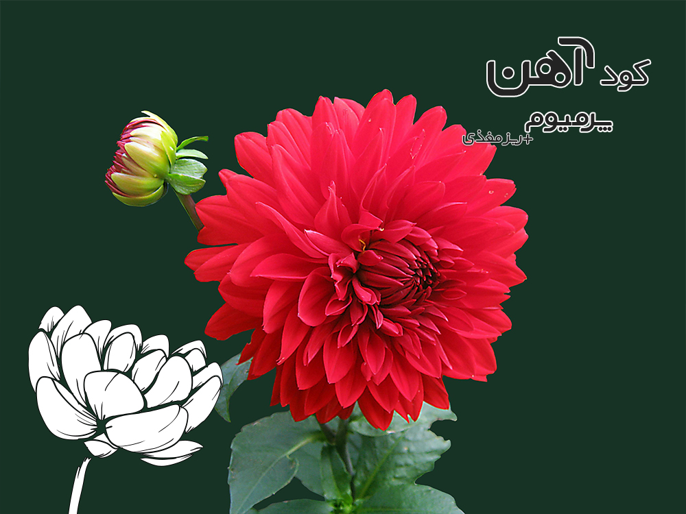 premium-iron-fertilizer.ir-کود-آهن-پرمیوم-مقاله-سم-زدایی-کود-2