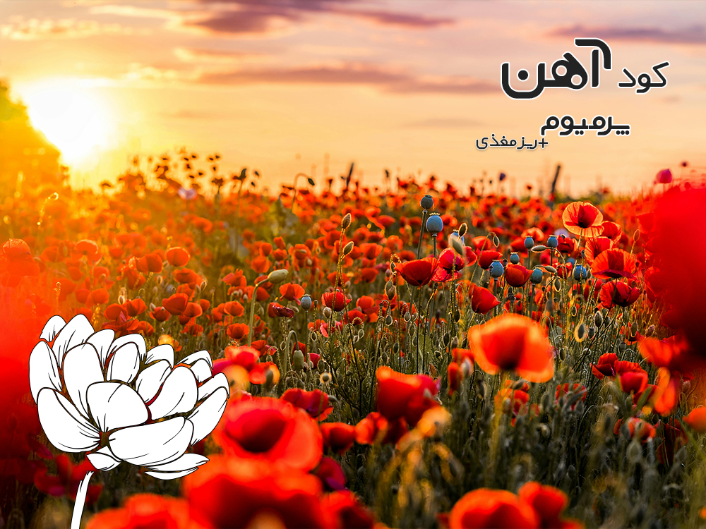 premium-iron-fertilizer.ir-کود-آهن-پرمیوم-مقاله-سم-زدایی-کود-4