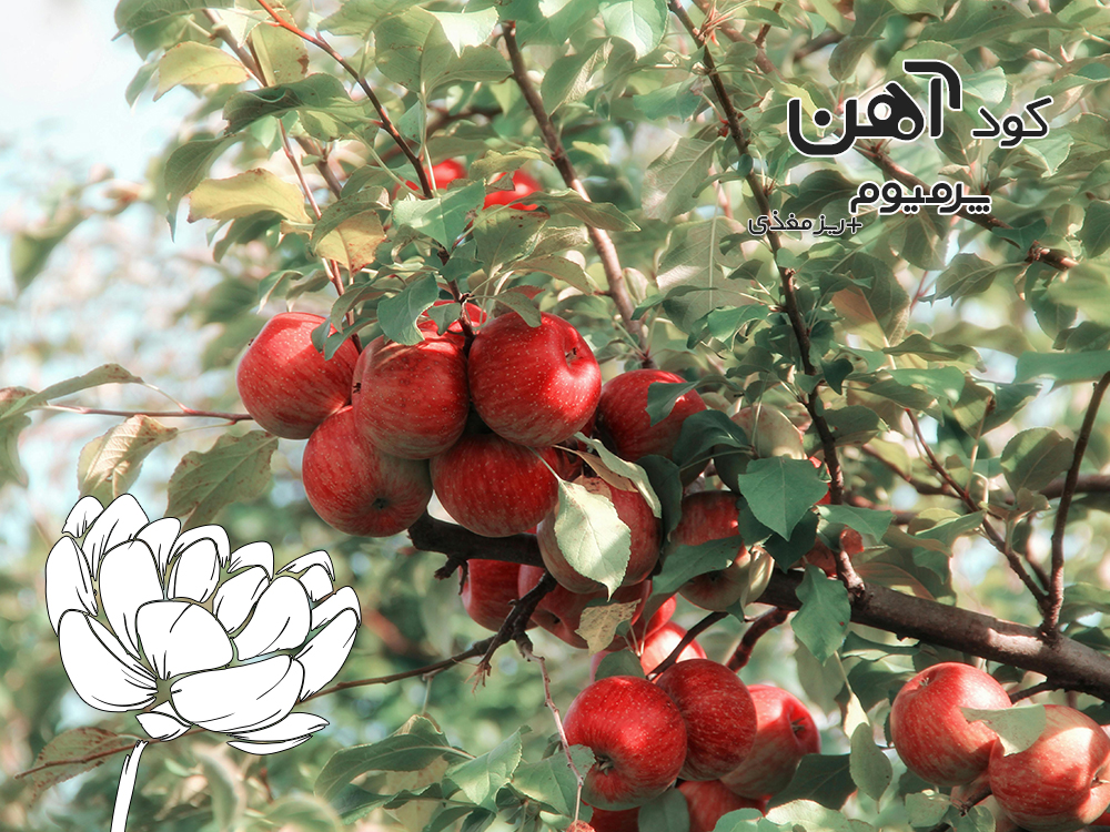 premium-iron-fertilizer.ir-کود-آهن-پرمیوم-مقاله-نسبت-مناسب-کود-2