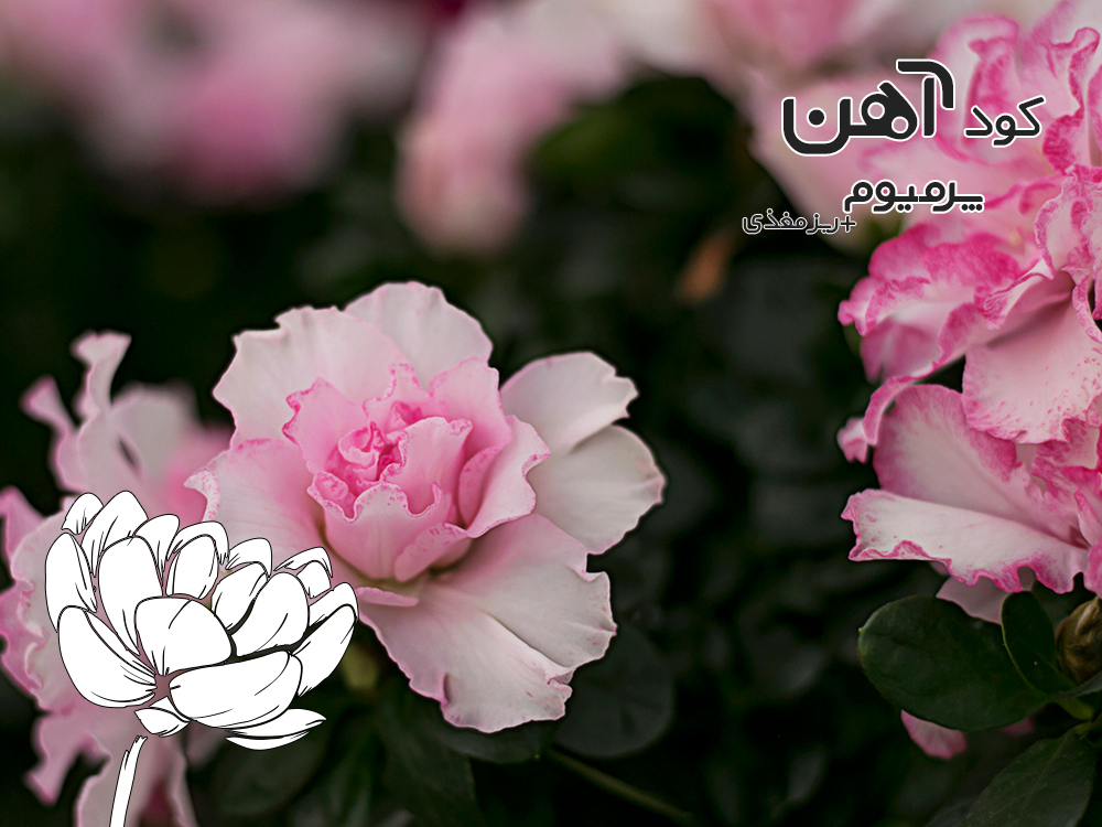premium-iron-fertilizer.ir-کود-آهن-پرمیوم-مقاله-کود-اسیدی-3