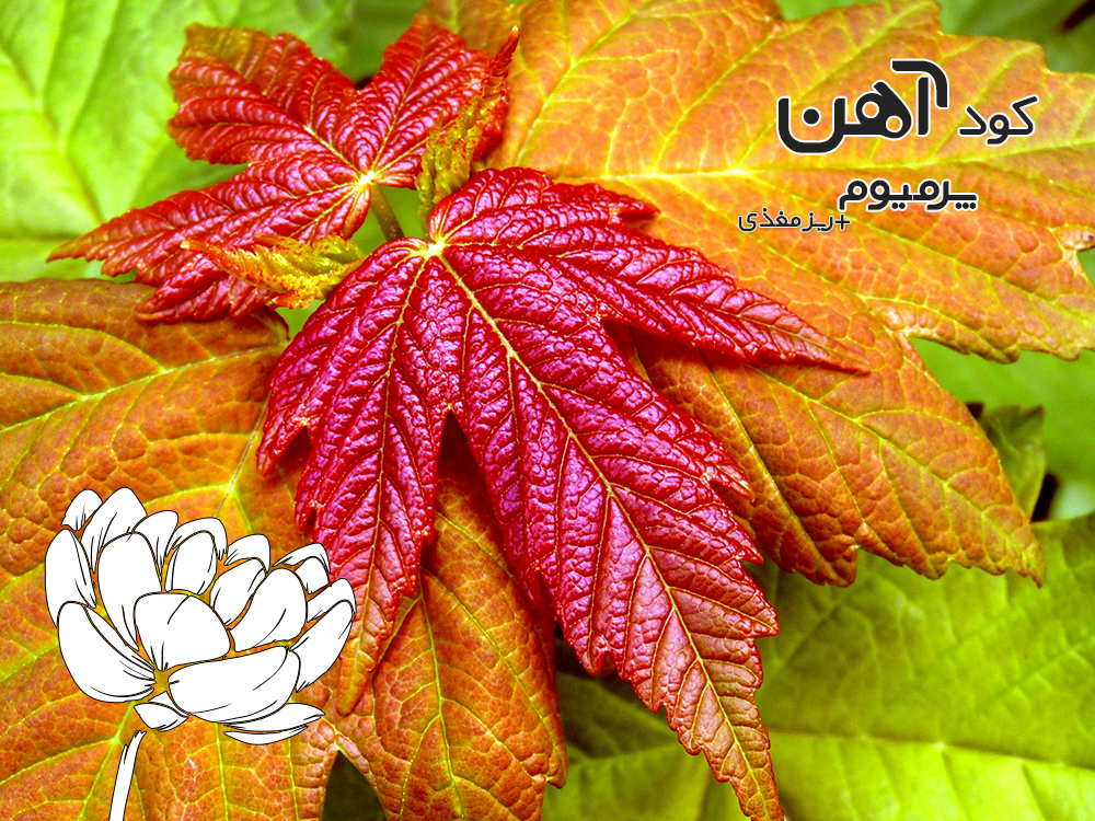 premium-iron-fertilizer.ir-کود-آهن-پرمیوم-مقاله-کود-بیولوژیکی-2