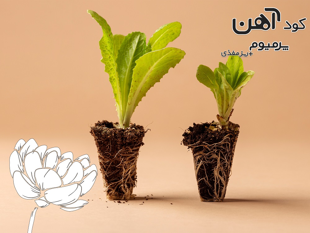 premium-iron-fertilizer.ir-کود-آهن-پرمیوم-مقاله-کود-ریش-زا-2