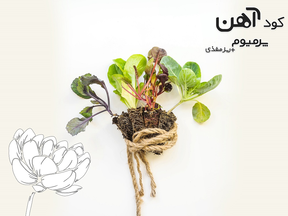 premium-iron-fertilizer.ir-کود-آهن-پرمیوم-مقاله-کود-ریش-زا-4