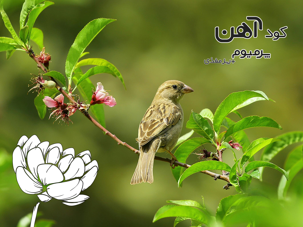 premium-iron-fertilizer.ir-کود-آهن-پرمیوم-مقاله-کود-زیستی-4