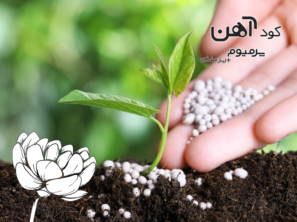 premium-iron-fertilizer.ir-کود-آهن-پرمیوم-مقاله-کود-فسفاته-1