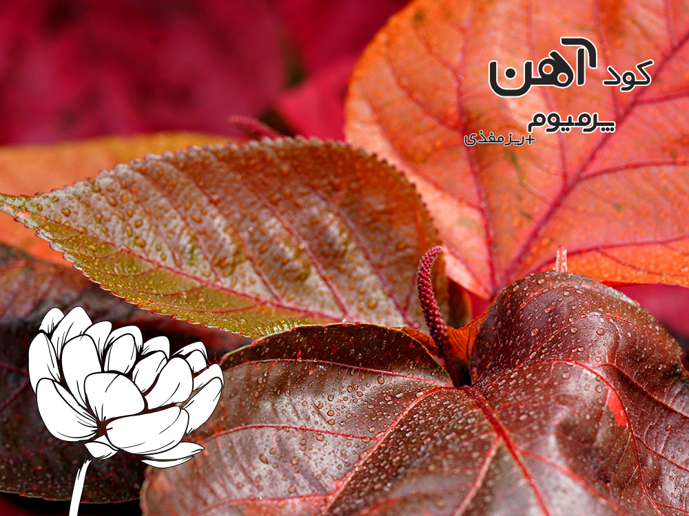 premium-iron-fertilizer.ir-کود-آهن-پرمیوم-مقاله-کود-میکرو-1