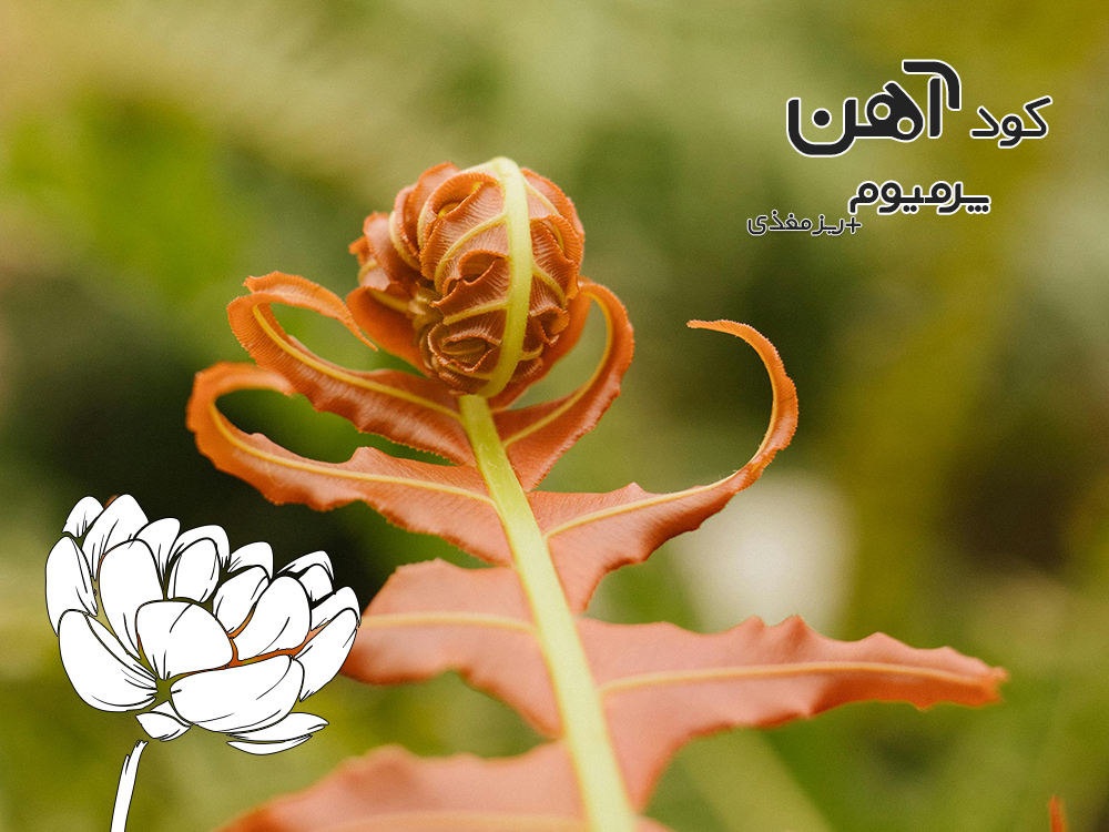 premium-iron-fertilizer.ir-کود-آهن-پرمیوم-مقاله-کود-هیومیک-اسید-3