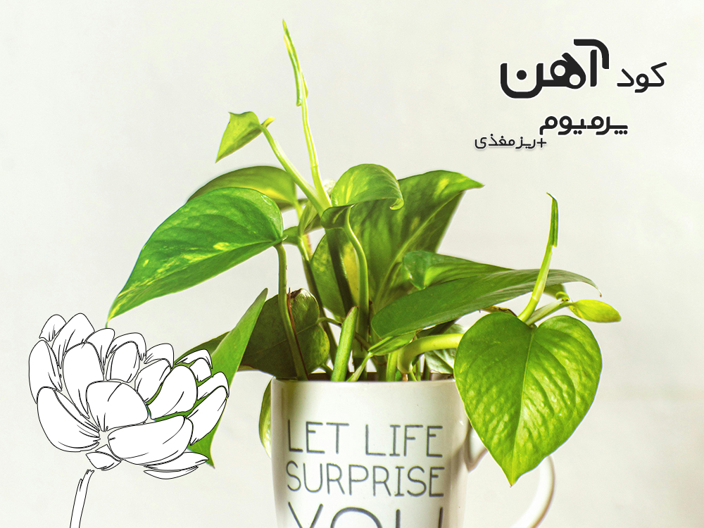 premium-iron-fertilizer.ir-کود-آهن-پرمیوم-مقاله-گیاه-اپارتمانی-پتوس-1