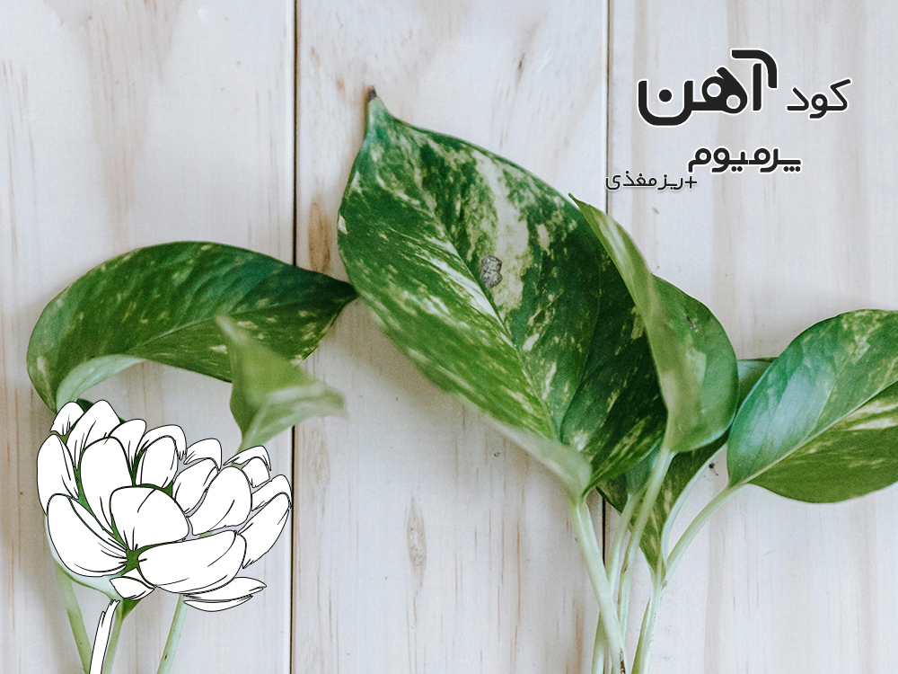 premium-iron-fertilizer.ir-کود-آهن-پرمیوم-مقاله-گیاه-اپارتمانی-پتوس-1